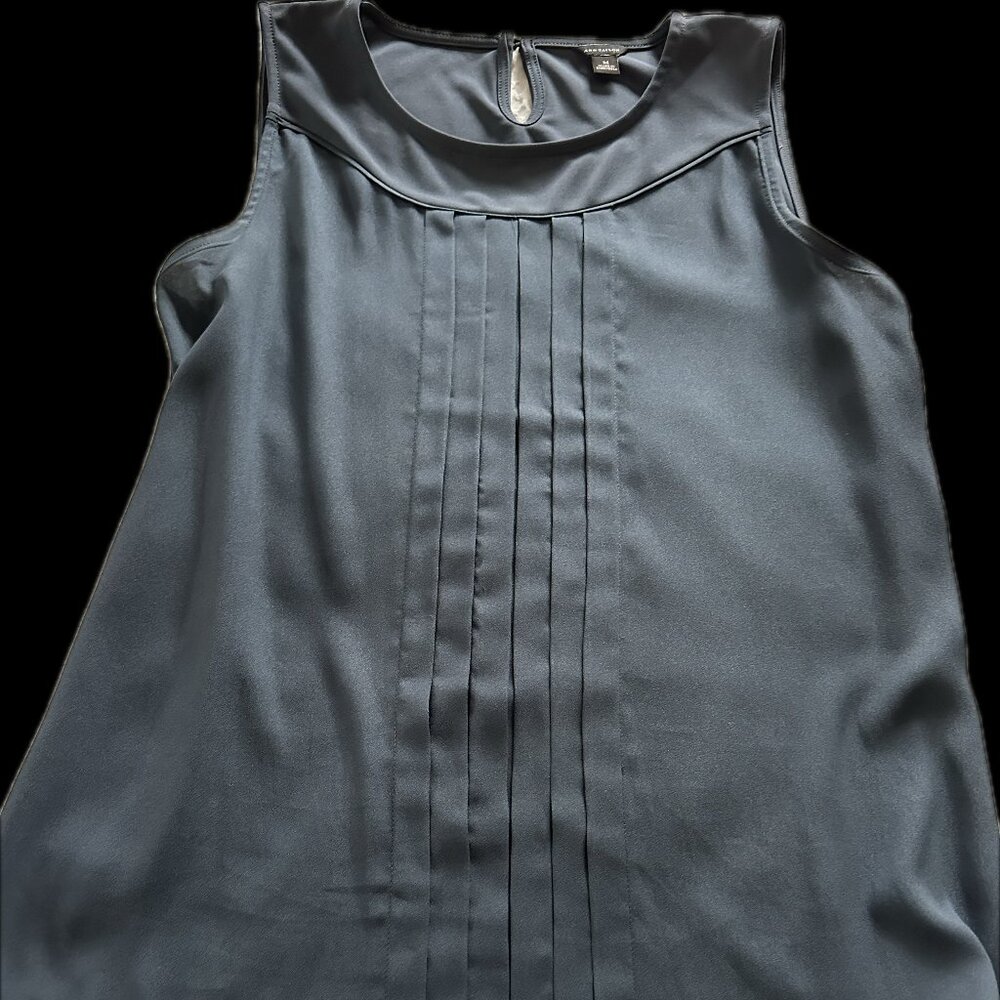 Ann Taylor top blue